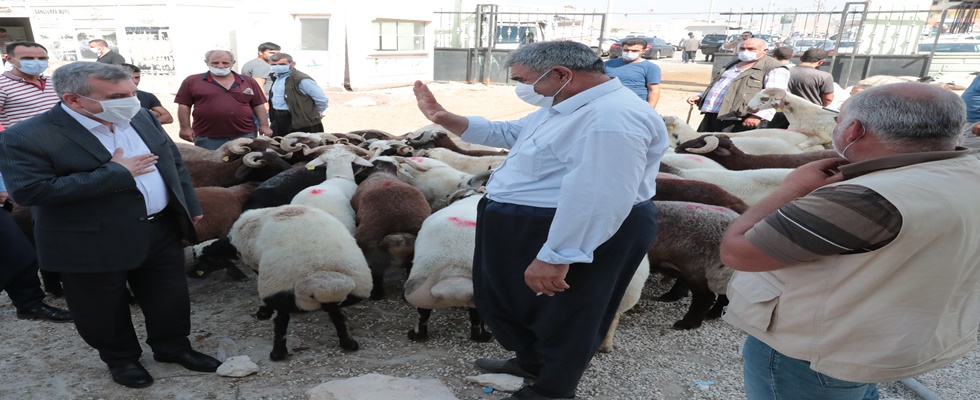 BAŞKAN BEYAZGÜL HAYVAN BORSASI ESNAFINI ZİYARET ETTİ