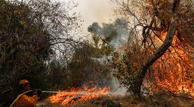 ABD’de Yüzlerce noktada etkili olan yangınlar kontrol altına alınamıyor