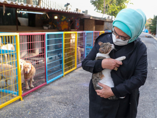 Emine Erdoğan, “4 Ekim Dünya Hayvanları Koruma Günü” dolayısıyla Yedikule Hayvan Barınağı’nı ziyaret etti