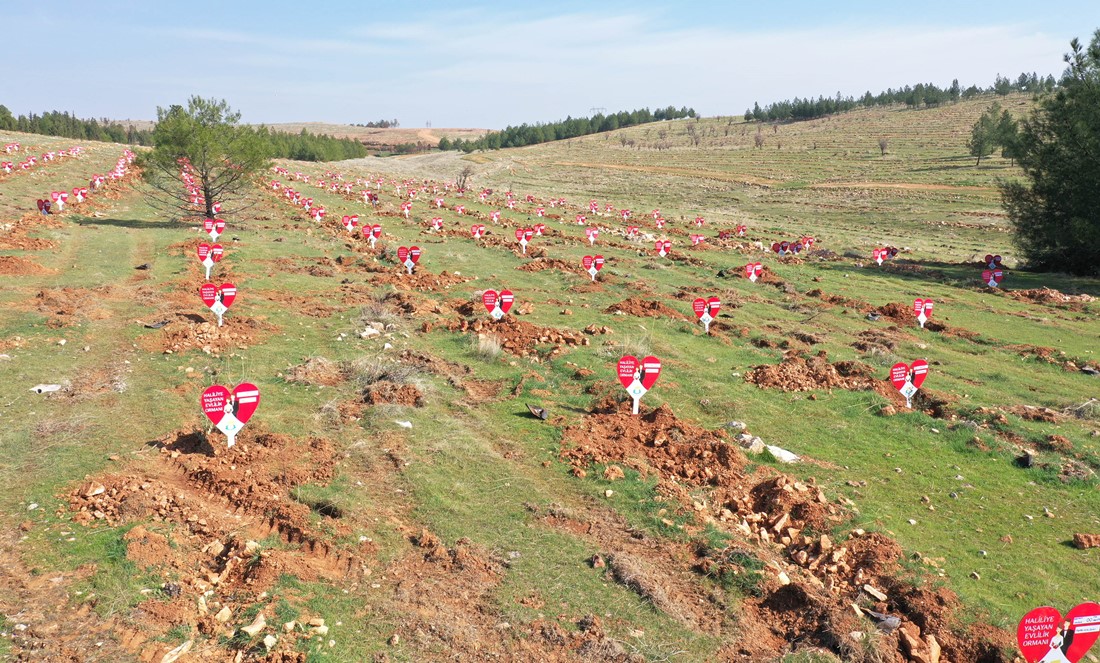 Mesajla Fizik Tedavi Uzmanı Suriyeli Ahmet Ubeydo, Önce Sağlık