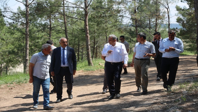 BUNGALOV EVLER BOZOVA’YA ÇOK YAKIŞACAK