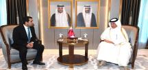 Presentation of credentials to the Minister of State for Foreign Affairs the State of Qatar